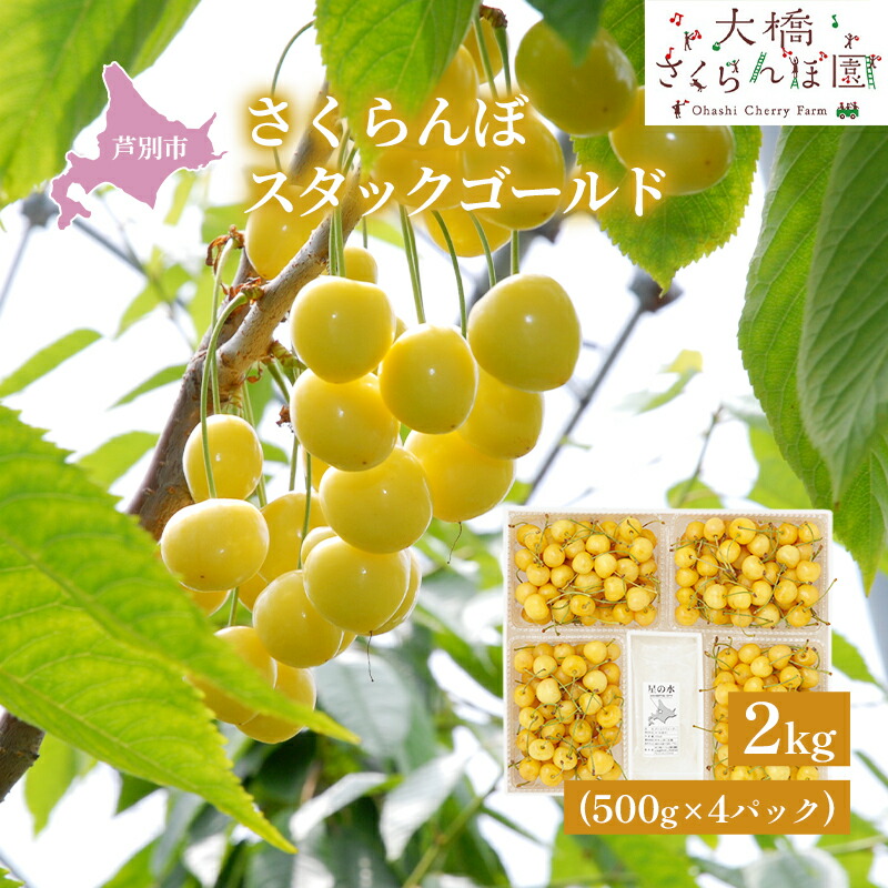 【ふるさと納税】【先行受付】スタックゴールド黄 2kg（500g×4パック）サクランボ 黄 大橋 芦別 希少 大容量 果物類 フルーツ さくらんぼ チェリー 　お届け：2025年7月下旬頃～