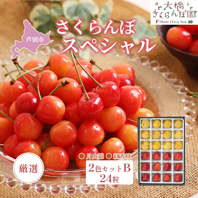 【ふるさと納税】先行予約 厳選 さくらんぼ スペシャル 2色 セット B 24粒 （赤・黄） 紅秀峰 月山錦 食べ比べ フルーツ 果物 季節のフルーツ 旬 旬のフルーツ 夏 化粧箱 ギフト 贈り物 贈答 プレゼント 冷蔵 冷蔵配送 北海道 芦別市　お届け：2025年7月中旬頃～