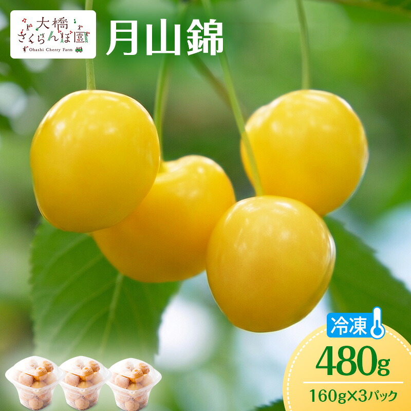 【ふるさと納税】冷凍さくらんぼ 月山錦 160g &times; 3パック 480g 黄色いさくらんぼ 希少種 さくらんぼの女王 急速冷凍 完熟 フルーツ 果物 デザート シャーベット 北海道 芦別市｜北海道芦別市