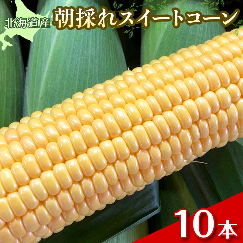 【ふるさと納税】朝採れスイートコーン10本（イエロー、Lサイズ以上） EB8-0149