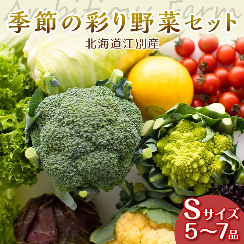 【ふるさと納税】季節の彩り野菜セットSサイズ(5～7品) 野菜 詰め合わせ 新鮮 産地直送 北海道 江別市 EB8-0153｜北海道江別市
