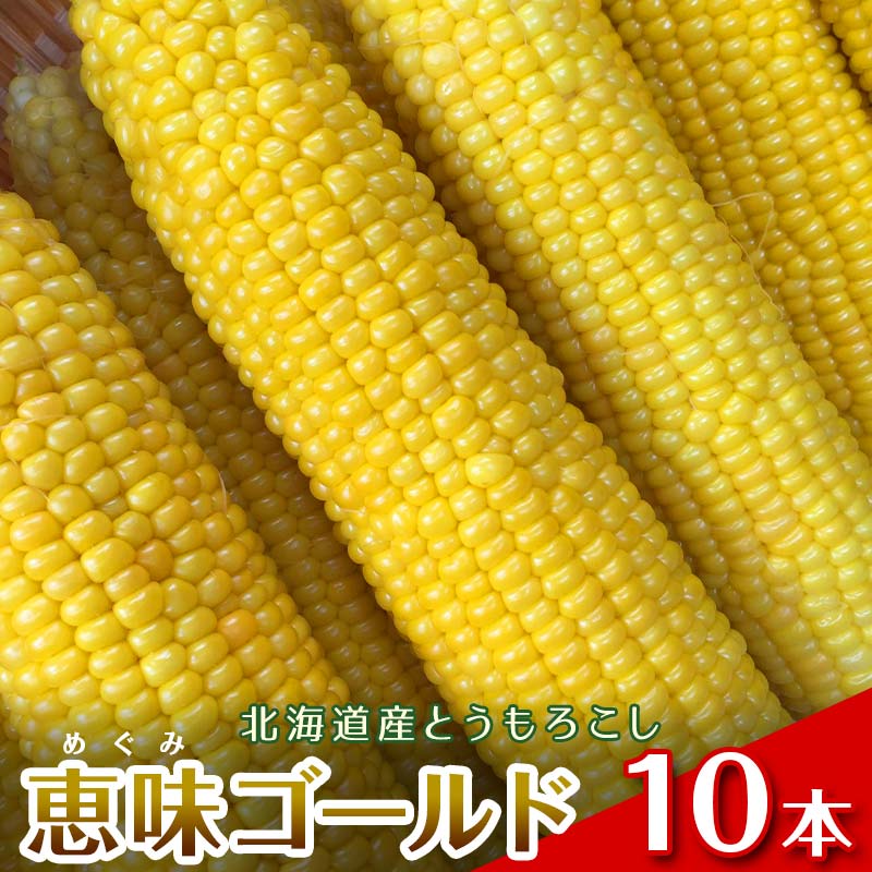 【ふるさと納税】【2026年8月中旬発送開始】北海道産とうもろこし(恵味ゴールド10本) EB8-0444