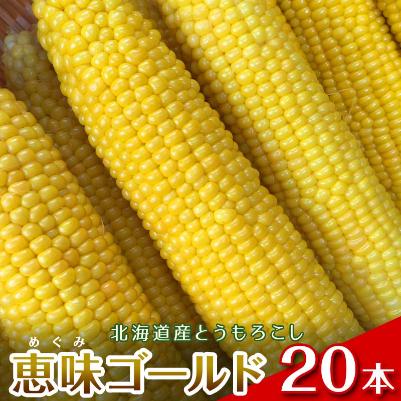 【ふるさと納税】【2026年8月中旬発送開始】北海道産とうもろこし（恵味ゴールド20本） EB8-0446