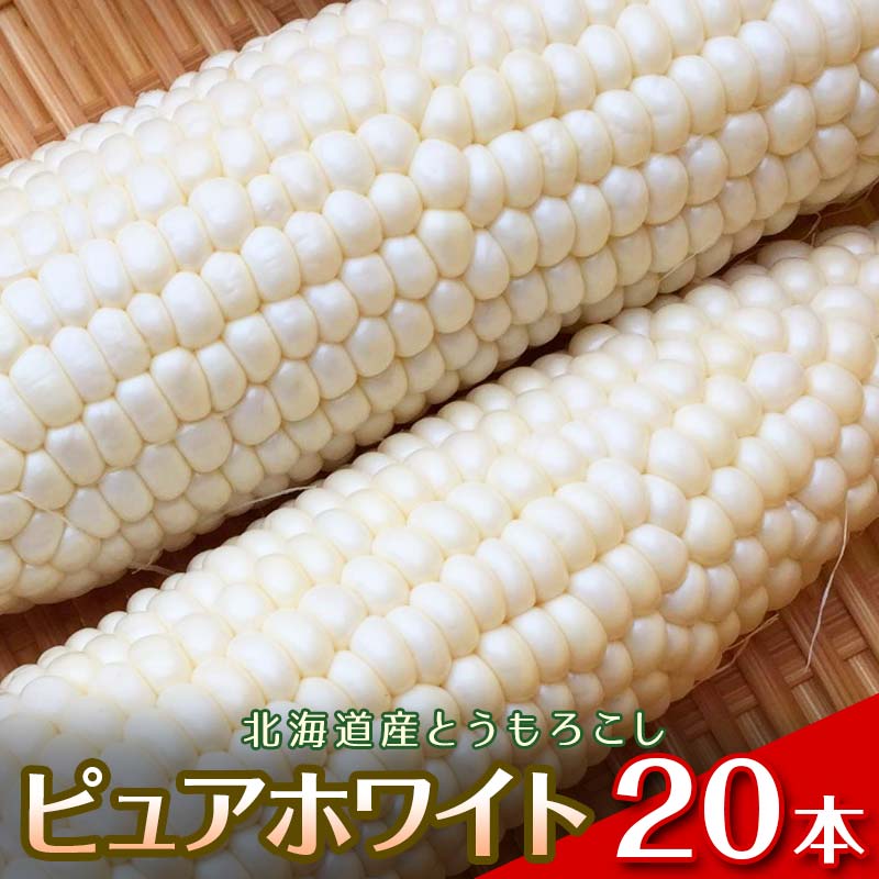 【ふるさと納税】【2026年8月中旬発送開始】北海道産とうもろこし（ピュアホワイト20本） EB8-0447