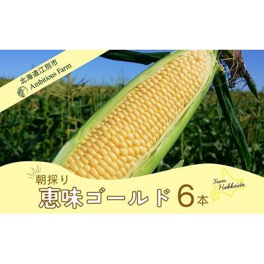 【ふるさと納税】【先行予約】北海道江別産 Ambitious Farm とうもろこし　恵味ゴールド　(6本）2025年8月より発送開始 | トウモロコシ とうもろこし コーン 新鮮 野菜 北海道 江別市 送料無料
