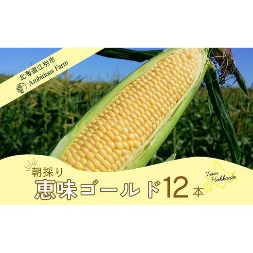 【ふるさと納税】【先行予約】北海道江別産Ambitious Farm とうもろこし　恵味ゴールド　(12本）2025年8月より発送開始 | トウモロコシ とうもろこし コーン 新鮮 野菜 北海道 江別市 送料無料