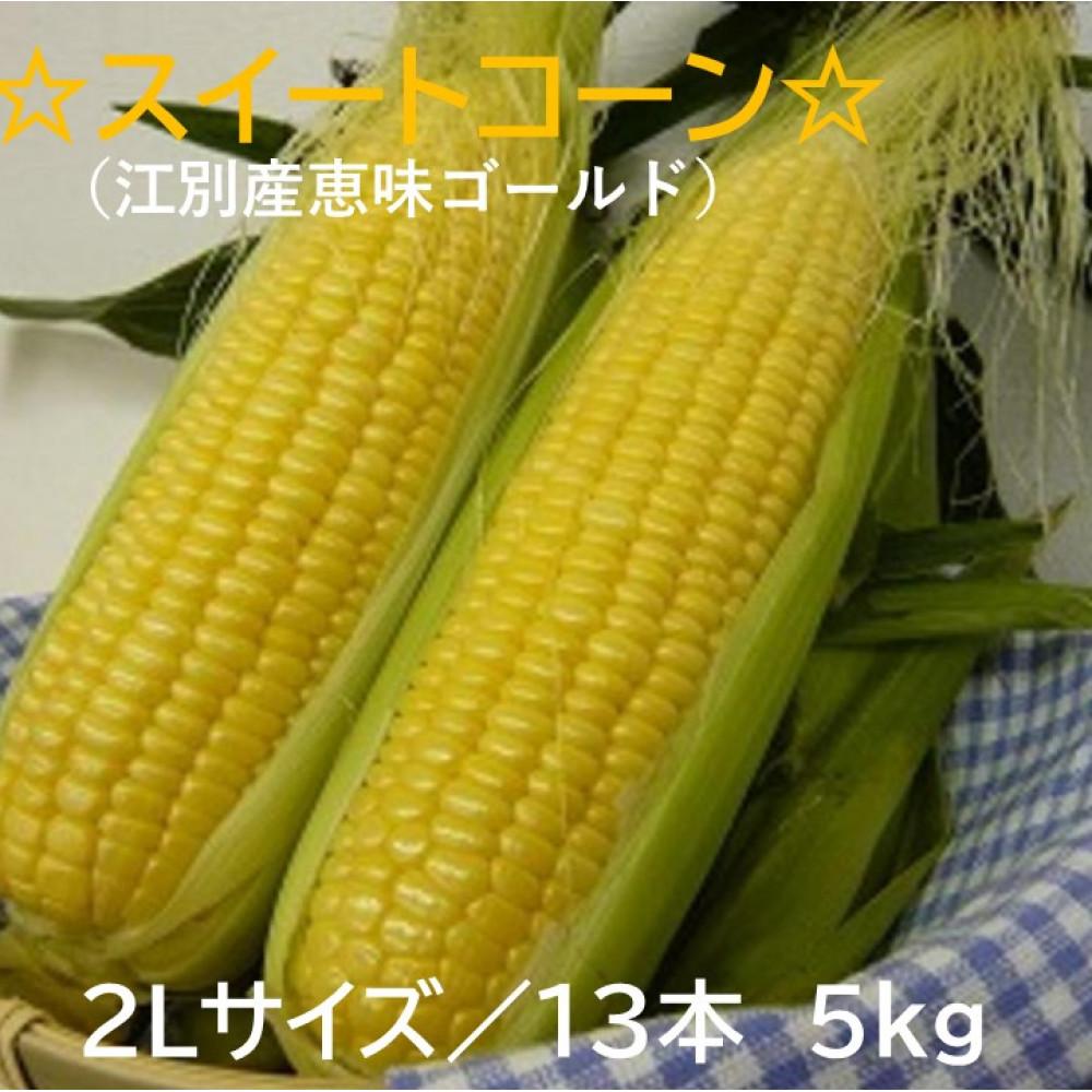 【ふるさと納税】先行予約 スイートコーン（恵味ゴールド）２Lサイズ１３本入り ５kg 2025年夏発送！ | 野菜 やさい 食品 人気 おすすめ 送料無料