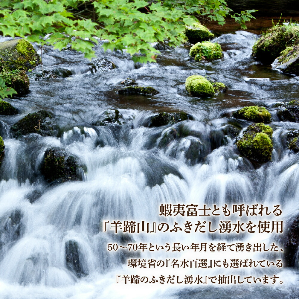 【ふるさと納税】ノースライブコーヒー羊蹄山麓湧水珈琲1000ml×6本セット【AD003】