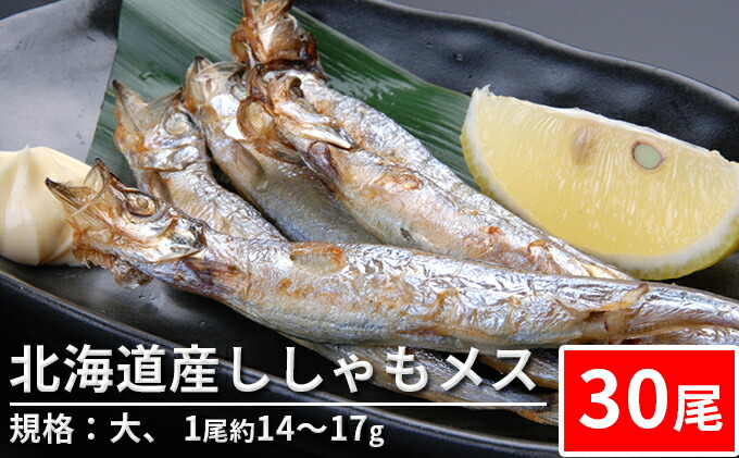 ふるさと納税 北海道生み出すことししゃも牝 30尻尾 判定基準 カレッジ 1尾ほとんど14 17g 魚貝タイプ ししゃも シシャモ Alphahairproducts Com
