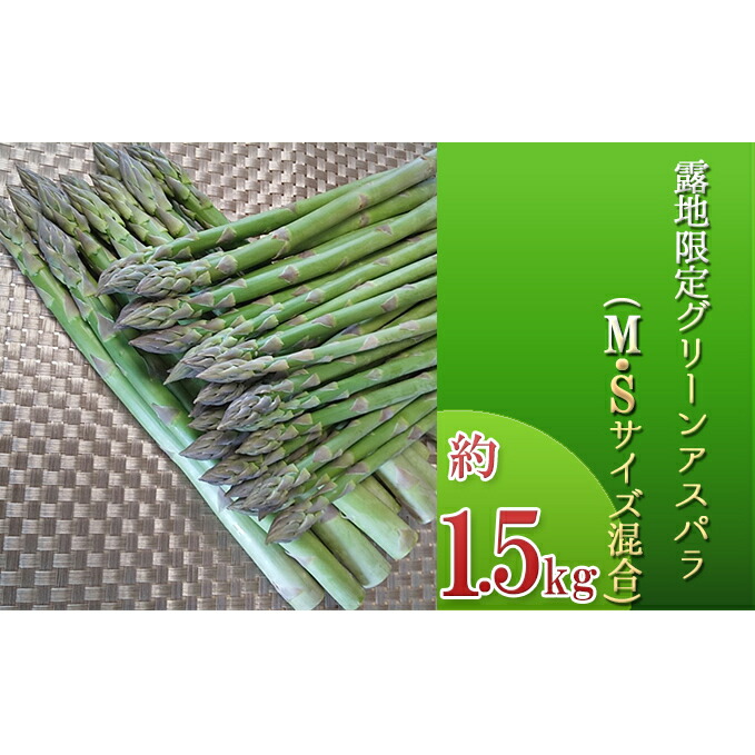 爆売り 約1 5kg 露地限定グリーンアスパラ M Sサイズ混合 アスパラガス 野菜 お届け 21年5月10日 6月日頃まで Web限定 Azurpiscines68 Fr