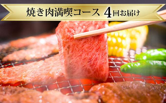ふるさと納税 滝本店屋の家門みんなで焼き羶肉味わう路線 4ヶ月年代順の継続お届け 定期玉章 お肉 牛 焼肉 丸焼き ヒツジ肉 子ヒツジ肉 牛肉 ホルモン Karibamun Org Zw