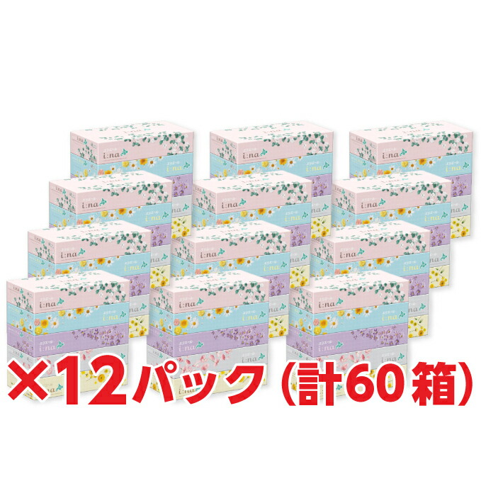 げのやわら 大王製紙 エリエールティッシュ 180組*5箱*12セット ぎおん - 通販 - PayPayモール ください -  shineray.com.br