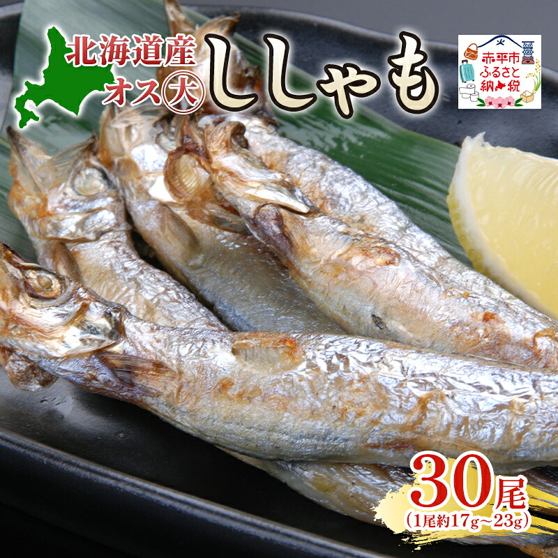 【ふるさと納税】北海道産ししゃもオス大30尾 北海道 稀少 魚 シシャモ オス おつまみ 魚貝類 干物 本物 人気 希少 塩 味付け 脂のり 旨み 美味しい 大きい|北海道赤平市