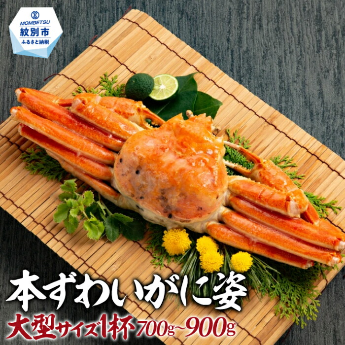 【ふるさと納税】18-106 本ずわいがに姿 大型サイズ1杯｜ ボイルズワイガニ ズワイガニ 蟹 ガニ カニ 一杯 浜茹で カニ味噌 特大 大ぶり グルメ プレゼント ギフト 海鮮 海鮮食品 ふるさと納税 故郷 納税 北海道 紋別市 紋別