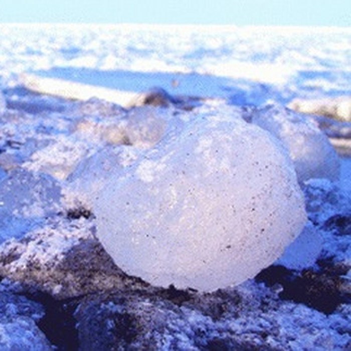 楽天市場 ふるさと納税 10 1 オホーツク海の流氷 5kg程度 北海道紋別市