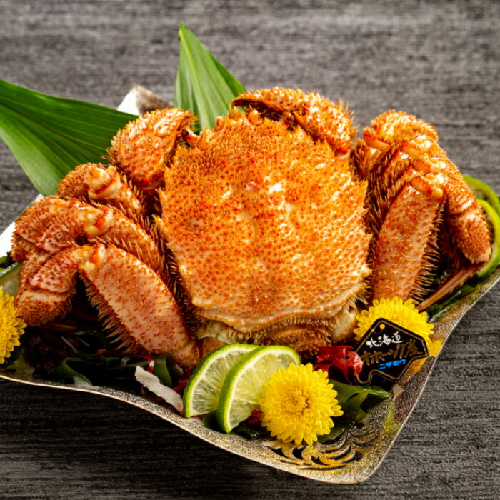 【ふるさと納税】19-57 北海道産毛ガニ　500～650g×1杯