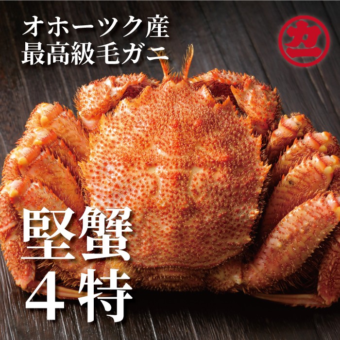 【ふるさと納税】19-35 ボイル毛がに(約440g～570g)×1尾