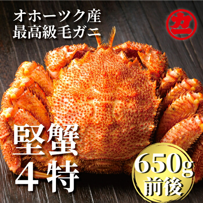 【ふるさと納税】24-55 北海道産ボイル毛がに【四特】 大ｻｲｽﾞ1尾入り（1尾約650ｇ前後）
