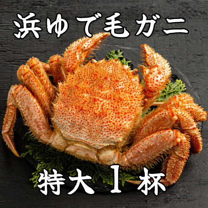 【ふるさと納税】26-37 流氷明け浜ゆで毛ガニ　特大1杯