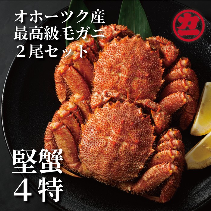 【ふるさと納税】36-24 ボイル毛がに(約440g～570g)×2尾｜ 蟹 毛ガニ 約440g～570g前後 2尾 カニ味噌 かにみそ ボイル 北海道産 海鮮 海鮮食品 冷凍 通販 返礼品 プレゼント ギフト お取り寄せ ふるさと納税 故郷 納税 北海