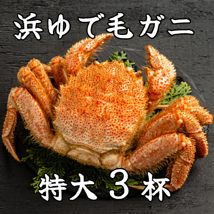 【ふるさと納税】78-16 流氷明け浜ゆで毛ガニ　特大3杯