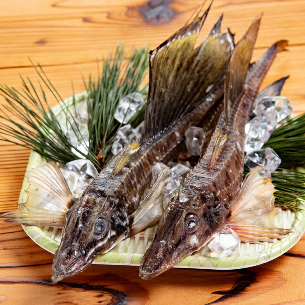 【ふるさと納税】12-186 オホーツク八角丸干し1kg|北海道紋別市