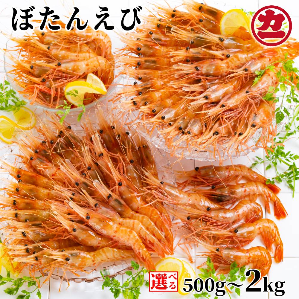 【ふるさと納税】ぼたんえび | 選べる 小分け えび エビ 海老 ボタンエビ ぼたん海老 刺身 お刺身 お寿司 冷凍 グルメ 串焼き 手巻き寿司 海鮮丼 北海道 hokkaido アザラシ|北海道紋別市