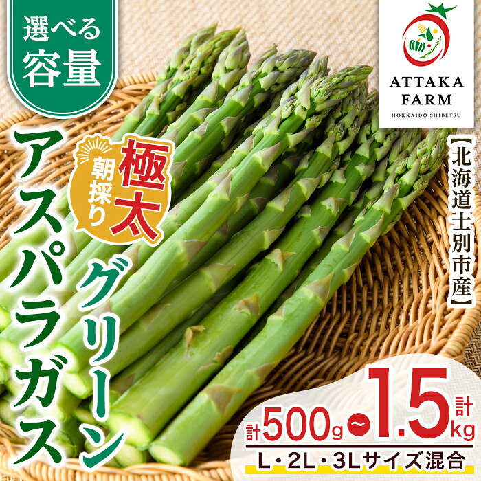 【ふるさと納税】<特別栽培・期間限定>北海道士別市産 極太グリーンアスパラ (L~3Lサイズ混合・500g~1.5kg) 【2026年5月以降順次発送】野菜 太い 極太 アスパラ アスパラガス グリーンアスパラ 北海道 北海道産 国産 旬 産地直送 【あったかふぁーむ】
