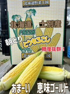 【ふるさと納税】＜数量限定＞北海道士別市産 朝採りスイートコーン(10本) 【2025年8月中旬以降順次発送】スイートコーン とうもろこし 恵味ゴールド 期間限定 とうきび 旬 野菜 甘い 北海道産 士別市産 国産 新鮮野菜 【ネオアグリプロジェクト株式会社】