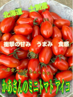 【ふるさと納税】＜数量限定＞北海道士別市産 ミニトマト アイコ (約2kg) 【2025年8月中旬以降順次発送】トマト ミニトマト とまと 期間限定 旬 野菜 甘い 北海道産 士別市産 国産 新鮮野菜 【ネオアグリプロジェクト株式会社】