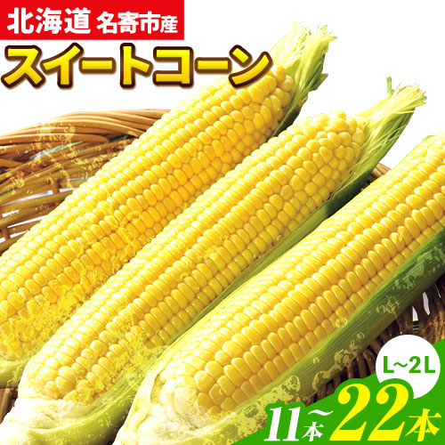 【ふるさと納税】令和7年産 北海道名寄産スイートコーンイエロー L～2Lサイズ11本 or 22本《2025年8月中旬-9月上旬頃出荷予定》 NPO法人なよろ観光まちづくり協会 北海道 とうもろこし トウモロコシ  Lサイズ 2Lサイズ 取り寄せ 新鮮 産地直送 甘い 糖度 冷蔵 レビュー高評価