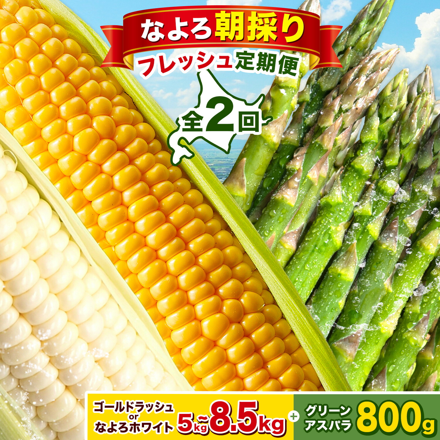【ふるさと納税】なよろ朝採り フレッシュ定期便 全2回 《2026年8月上旬-2027年5月下旬頃出荷》北海道 名寄市 名寄市産 旬のとうもろこし 夏限定 ゴールドラッシュ なよろホワイト グリーンアスパラ 野菜 コーン 北海道産 季節限定 夏野菜 お取り寄せ スーパーSALE|北海道名寄市