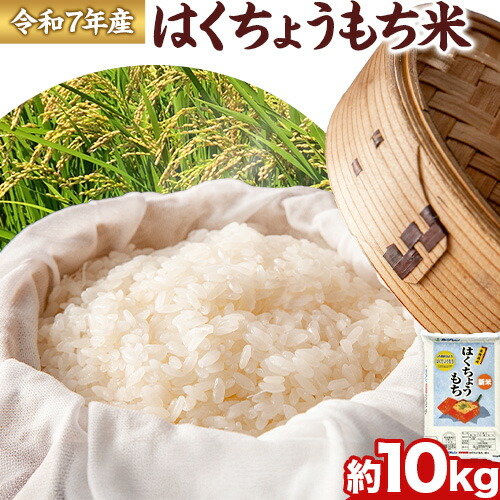 【ふるさと納税】令和7年産 はくちょうもち米 10kg お米 こめ もち米 観光まちづくり協会《10月下旬-11月下旬頃出荷》北海道 名寄市 白米 精米 餅 ご飯 ごはん 国産｜北海道名寄市