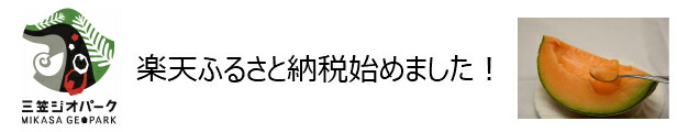 楽天市場】【ふるさと納税】令和4年産！北海道産ゆめぴりか10kg(5kg×2)【特Aランク】米・食味鑑定士監修 配送地域指定【16006】 : 北海道 三笠市