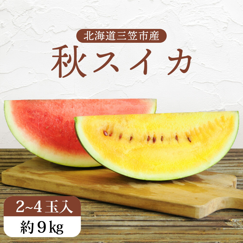 【新品未使用】WENSLIシルク100%ロングパイルマフラー（両面柄）　タグ付 新品未使用】WENSLIシルク100%ロングパイルマフラー（両面柄