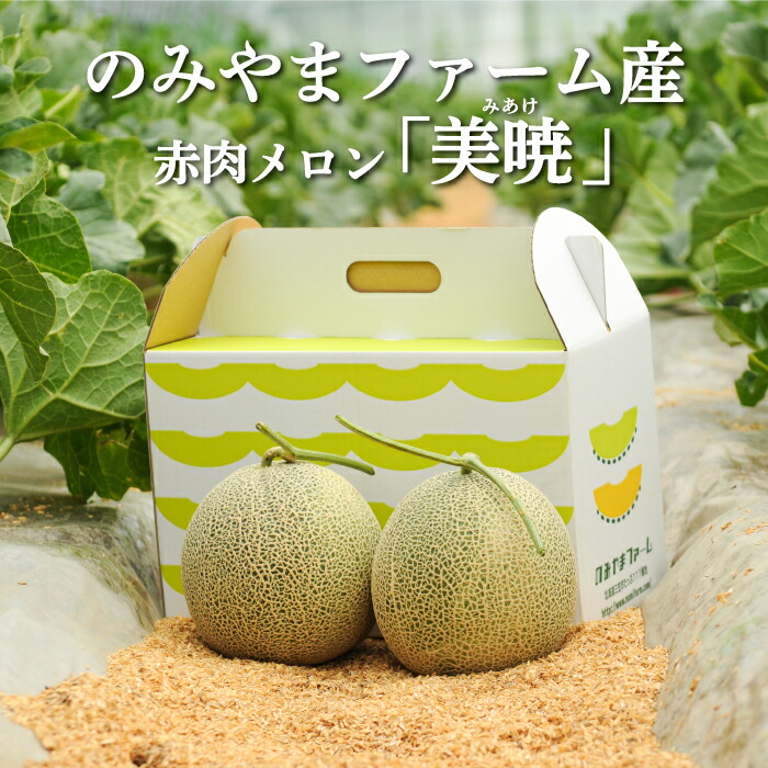 【ふるさと納税】《2026年分受付中》≪数量限定！≫のみやまファームの赤肉メロン「美暁」（各1.6kg以上を2玉） | ふるさと納税 北海道 三笠 メロン ２玉 フルーツ 果物 デザート グルメ 旬 贈り物 お取り寄せ ワンストップ マイページ のみやまファーム 三笠市【01167】