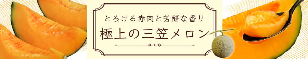 ふるさと納税 三笠市 北海道三笠観光協会　”ジモトグッズ”　アンモナイトセット(Tシャツ)【01128】 北海道三笠観光協会 ”ジモトグッズ” アンモナイトセット（T