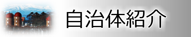 楽天市場】【ふるさと納税】エゾバフンウニ塩水パック70〜80g×2P[2022年11月中旬以降発送] B-06001 : 北海道根室市