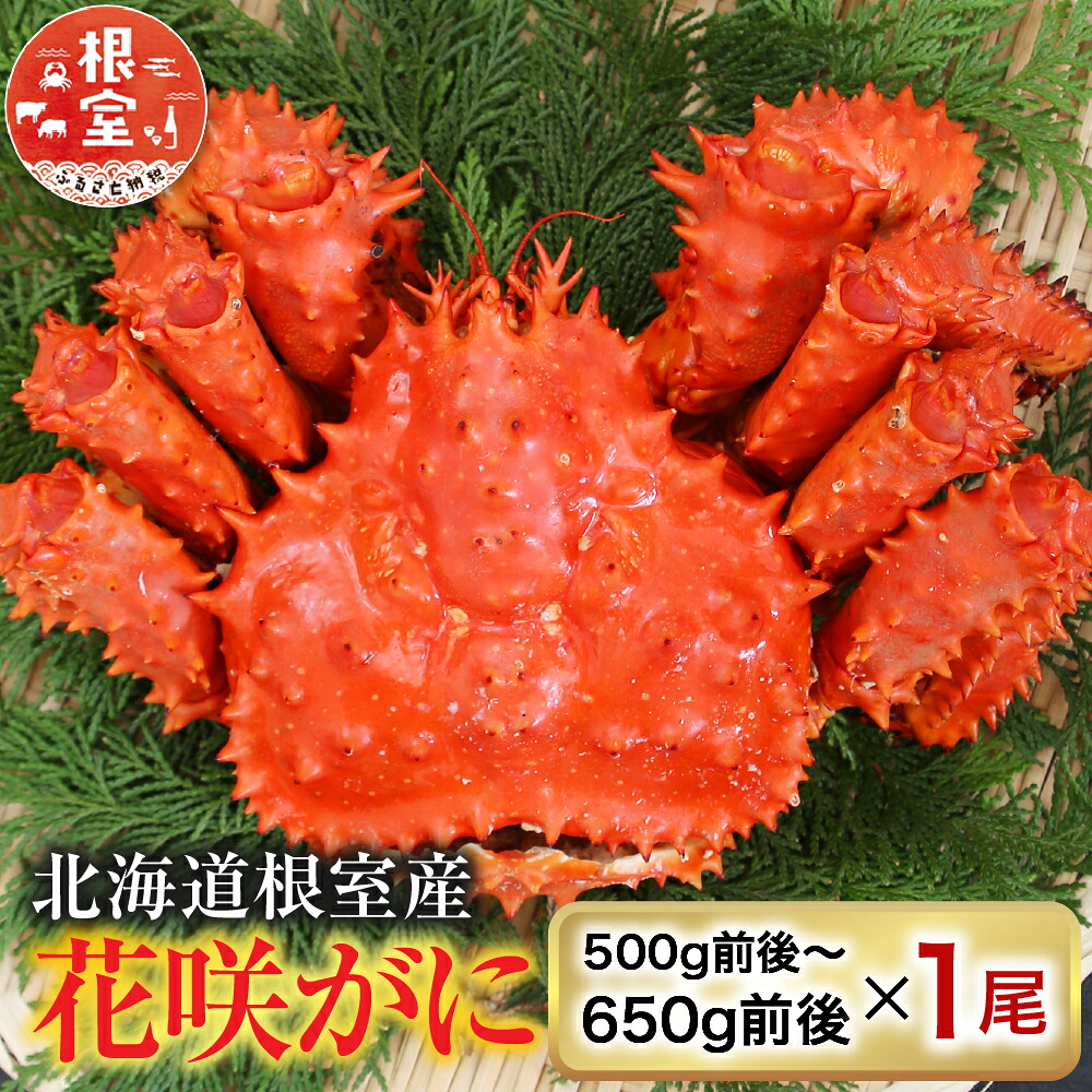 【ふるさと納税】 [北海道根室産] 花咲かに 500g 前後 ~ 650g 前後 × 1 尾 花咲がに 花咲 花咲ガニ 花咲蟹 かに カニ 蟹 お取り寄せ グルメ 海鮮 ボイル 茹で蟹 茹でがに 茹でガニ 北海道 根室市 ふるさと納税 A-36054