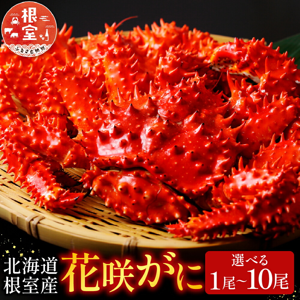 楽天市場】【ふるさと納税】 [北海道根室産] 花咲かに 1 尾 ~ 10 尾 か