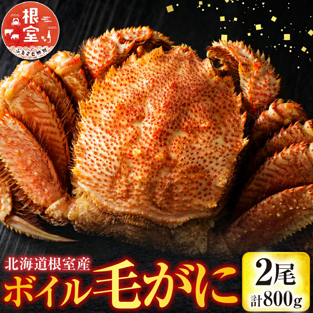 【ふるさと納税】 [北海道根室産] ボイル毛がに 2 尾 ( 計 800g ) 毛ガニ 毛蟹 けがに ケガニ かに カニ 蟹 グルメ 海鮮 ボイル 茹で蟹 茹でがに 茹でガニ 塩ゆで ミソ カニミソ カニ味噌 蟹味噌 かに味噌 北海道 根室市 F-42016
