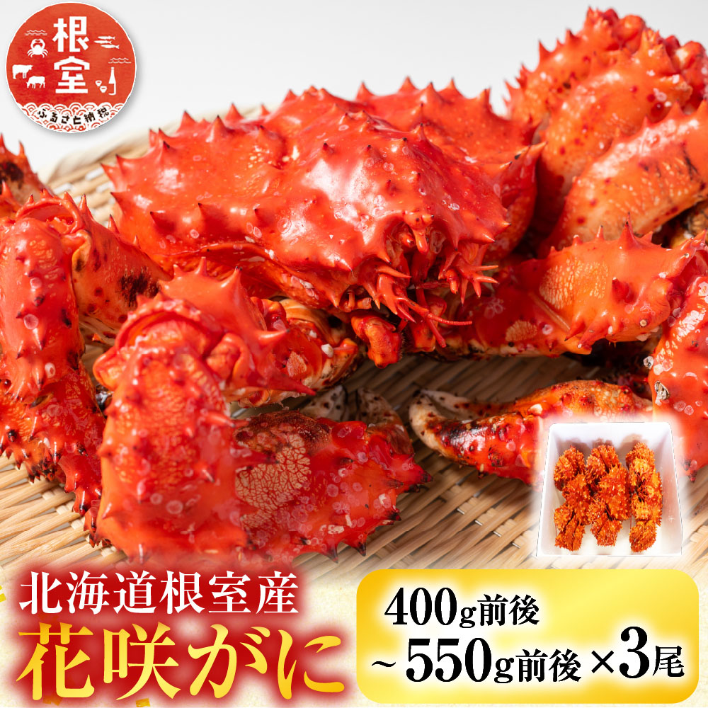 【ふるさと納税】 [北海道根室産] 花咲かに 400g 前後 ~ 550g 前後 × 3 尾 花咲がに 花咲 花咲ガニ 花咲蟹 かに カニ 蟹 お取り寄せ グルメ 海鮮 北海道 根室市 ふるさと納税 B-36015