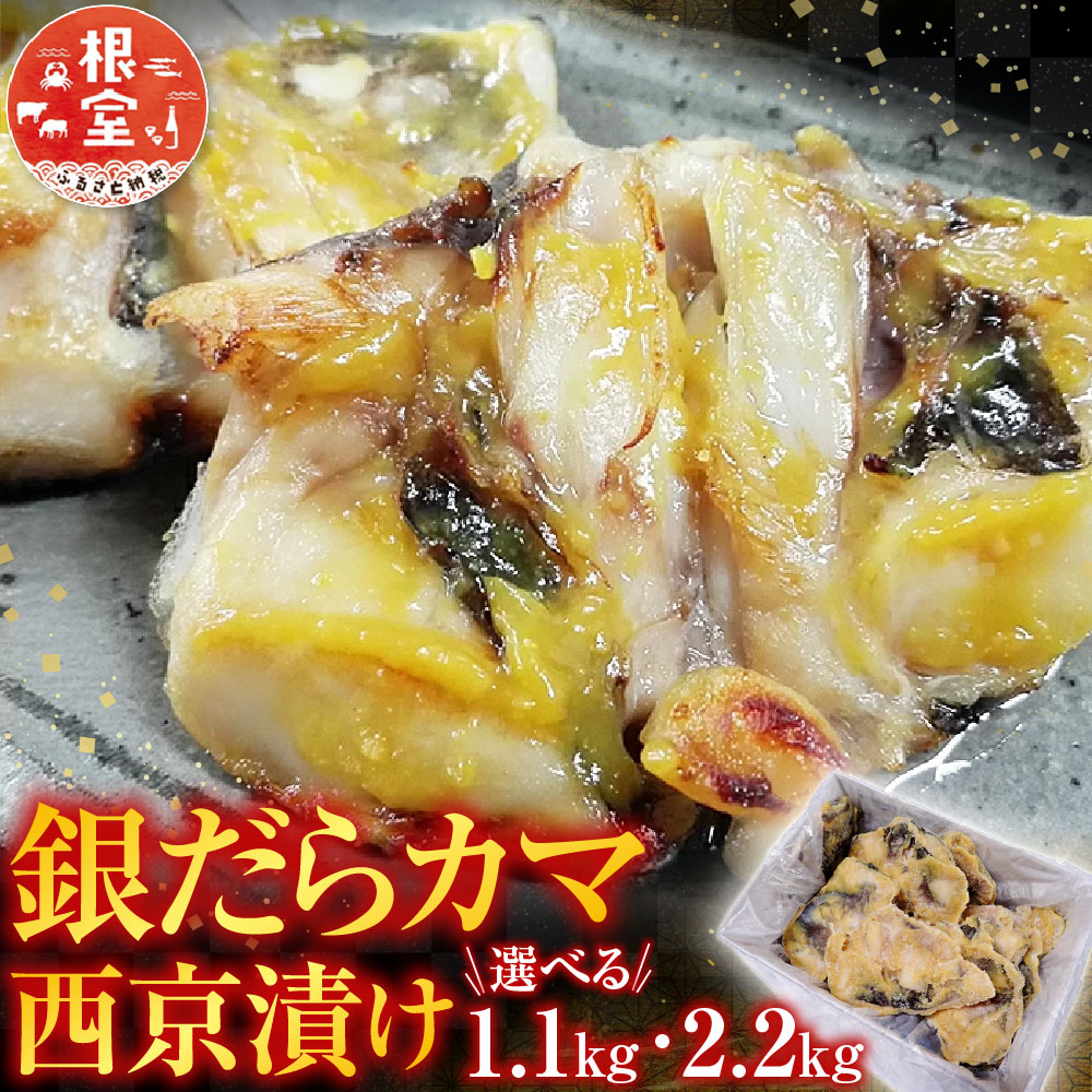 【ふるさと納税】 銀だらカマ西京漬け 選べる 1.1kg 2.2kg たら タラ 鱈 ぎんだら 銀ダラ ギンダラ 銀鱈 魚 さかな サカナ お取り寄せ グルメ 海鮮 かま 西京漬 西京焼き 北海道 根室市 ふるさと納税|北海道根室市