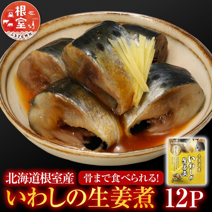【ふるさと納税】 [北海道根室産] いわしの生姜煮 12P いわし イワシ 鰯 さかな 魚 サカナ お取り寄せ グルメ 海鮮 おかず ご飯のお供 生姜煮 北海道 根室市 ふるさと納税 G-09013｜北海道根室市