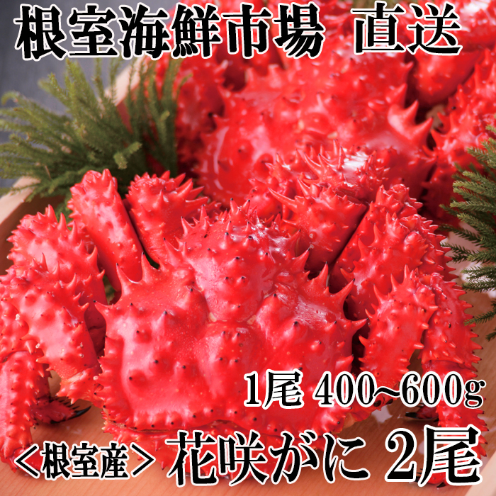 楽天市場】【ふるさと納税】 [北海道根室産]花咲がに姿(切込入り)500g×1尾 A-01018 : 北海道根室市