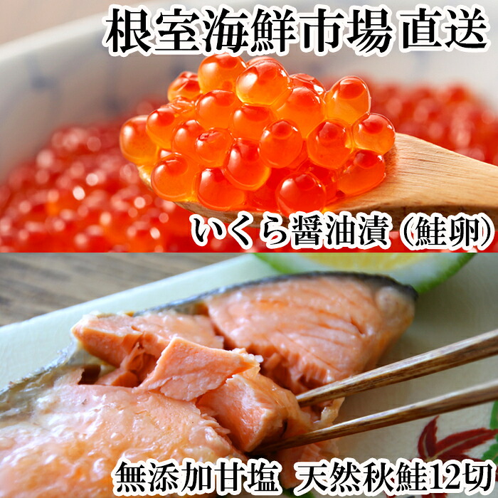 【ふるさと納税】 いくら醤油漬け ( 鮭卵 ) 70g × 1P、無添加天然甘塩秋鮭 12 切 サケ さけ しゃけ シャケ 秋ザケ あきざけ アキザケ イクラ 醤油 醤油漬 魚卵 お取り寄せ グルメ 海鮮 北海道 根室市 ふるさと納税 A-11153
