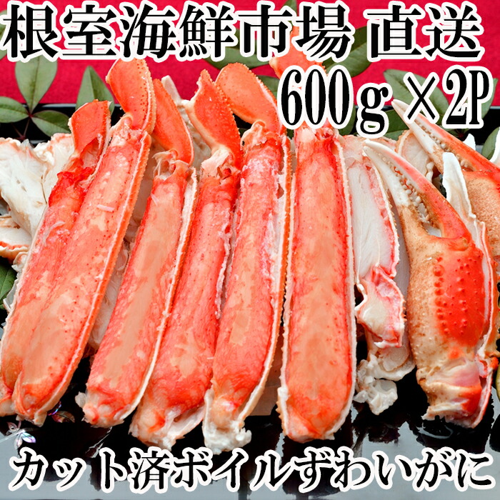 年末年始大決算 北海道根室市 ふるさと納税 C-25016 6〜7肩前後