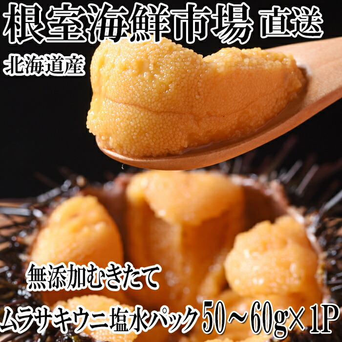 【ふるさと納税】無添加むきたてムラサキウニ塩水パック[5月初旬以降発送] (50～60g×1P) (50～60g×2P) (50～60g×4P) (50～60g×6P) (90～100g×2P) うに 雲丹 北海道 根室市