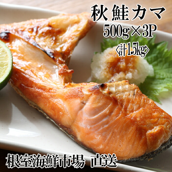 【ふるさと納税】 甘汐天然秋鮭カマ 500g × 3P ( 計 1.5kg ) 鮭 さけ サケ しゃけ シャケ 魚 さかな サカナ 秋鮭 秋ざけ 秋ザケ あきざけ アキザケ お取り寄せ グルメ 海鮮 鮭かま 鮭カマ おかず 北海道 根室市 ふるさと納税 G-11042