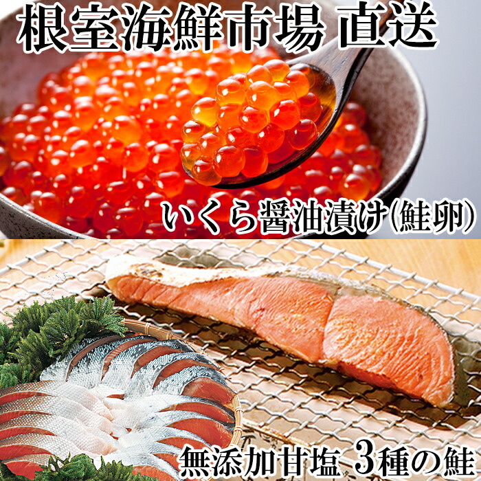 【ふるさと納税】無添加天然甘塩鮭・いくら醤油漬け(鮭卵)セット (天然甘塩鮭3種各5切・いくら70g×1P) (天然甘塩鮭3種各15切・いくら70g×1P) イクラ 紅鮭 秋鮭 鮭 サケ 魚 さかな サカナ 北海道 根室市